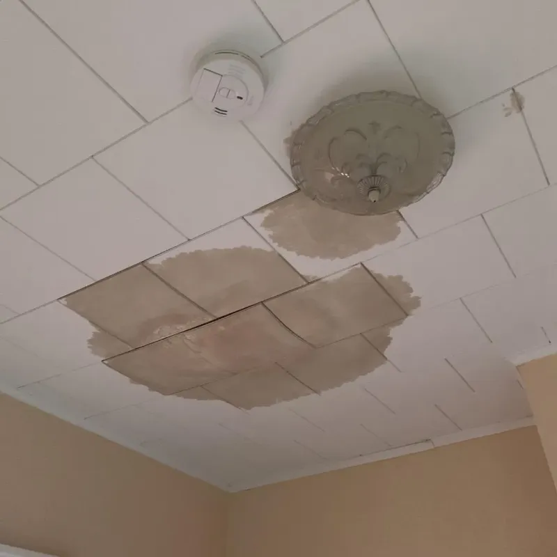 Ceiling Water Damage Repair in Camp Lake, WI