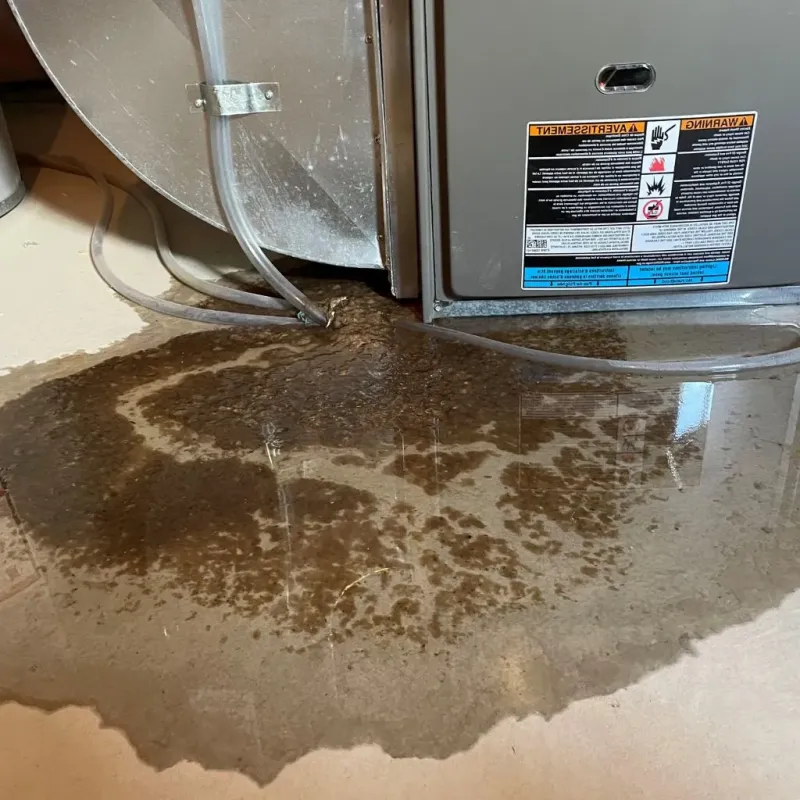 Pipe Burst and Leak Restoration in Camp Lake, WI