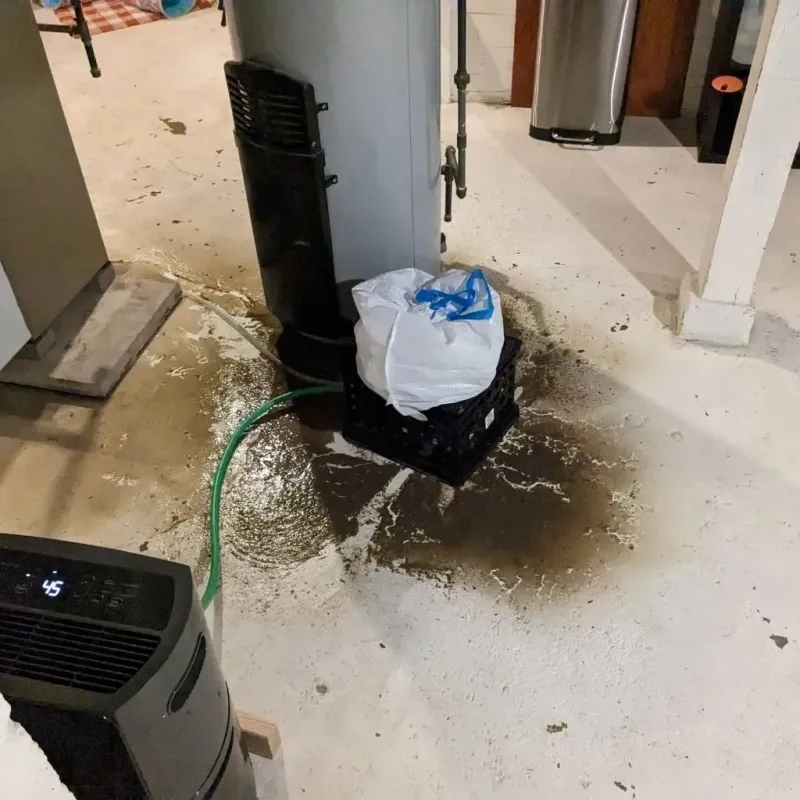 Sewage Backup Cleanup Service in Camp Lake, WI